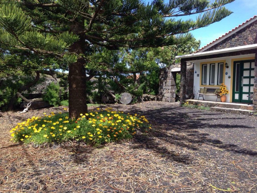 마달레나 Casa Da Costa 빌라 외부 사진